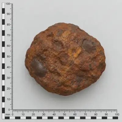 Customer specimen 02: rounded rust brown nodule, photographed beside a millimeter scale