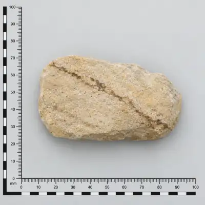 Customer specimen 05: pale stone dark vein, photographed beside a millimeter scale