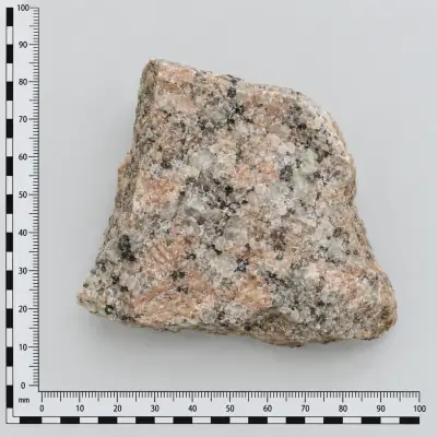 Customer specimen 10: pink gray speckled rock, photographed beside a millimeter scale