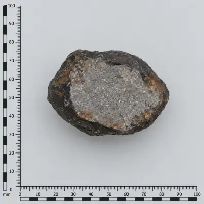 Customer specimen 11: black rind gray interior, photographed beside a millimeter scale