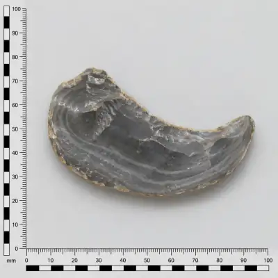 Customer specimen 12: banded gray stone, photographed beside a millimeter scale