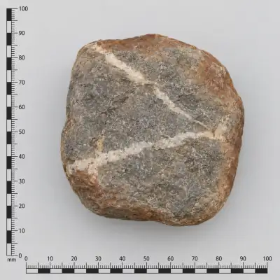 Customer specimen 16: brown rind pale veins, photographed beside a millimeter scale