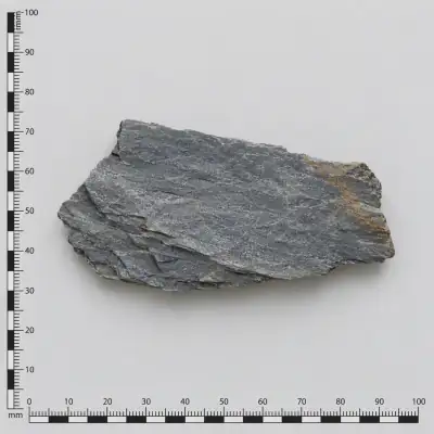 Customer specimen 18: layered slate fragment, photographed beside a millimeter scale