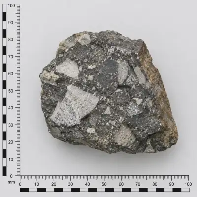 Customer specimen 19: gray rock pale inclusions, photographed beside a millimeter scale